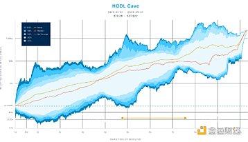 HOLD Cave：讲述比特币在波动中增长的故事