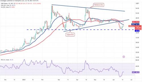 BTC多头蠢蠢欲动  这些山寨币会率先反弹吗？