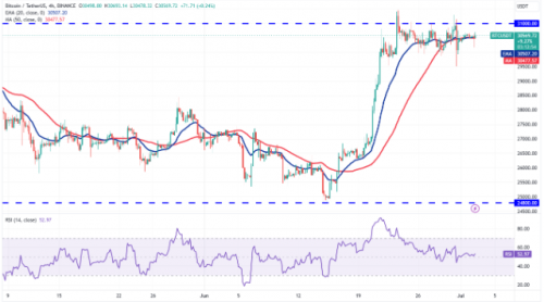 随着比特币跌破 3.1 万美元  这四个代币转为看涨