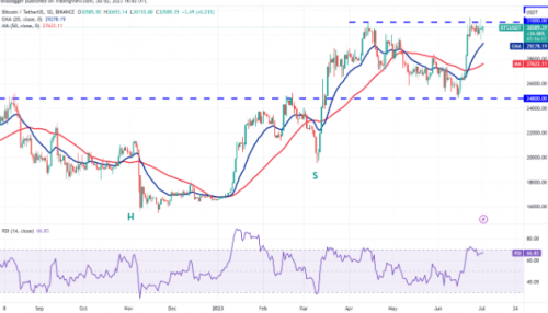 随着比特币跌破 3.1 万美元  这四个代币转为看涨