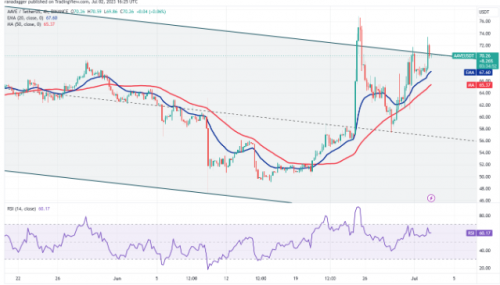 随着比特币跌破 3.1 万美元  这四个代币转为看涨