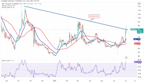 随着比特币跌破 3.1 万美元  这四个代币转为看涨