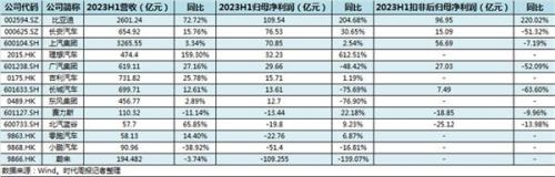 上半年理想卖一辆车挣2万，比亚迪挣8千，蔚来倒亏20万?