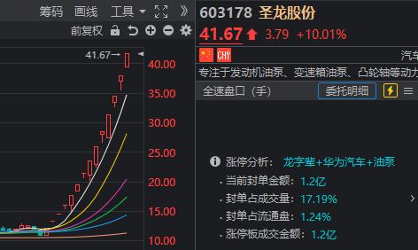 圣龙股份14连板 刷新年内纪录！水利基建板块大涨