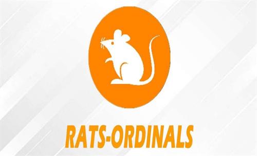 RATS币是如何爆火的? 深入探讨RATS币爆火原因