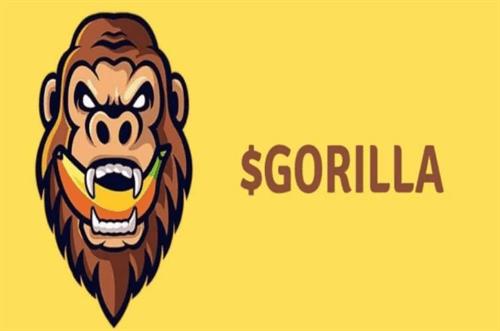 迷因币GORILLA是什么虚拟币_一篇篇文章来为您详细解答