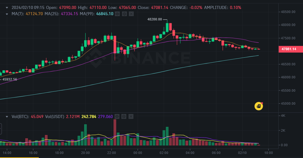 比特币涨破4.8万美元、以太坊上攻2500！龙年行情会持续多久？