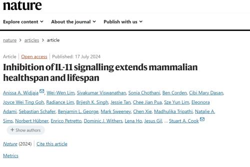 抑制IL-11蛋白可延长小鼠寿命，延缓衰老新发现
