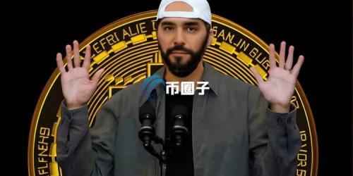 生态困境！数据显示萨尔瓦多近九成的服务提供商已停止运营