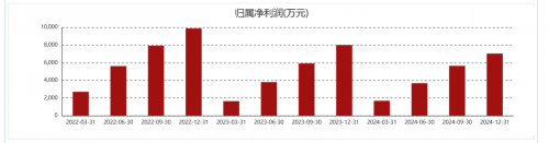 悦安新材2024年营收增长13.38%