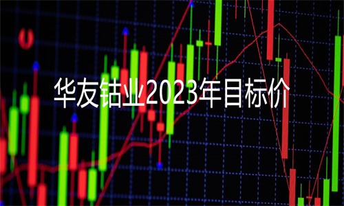 华友钴业2023年目标价