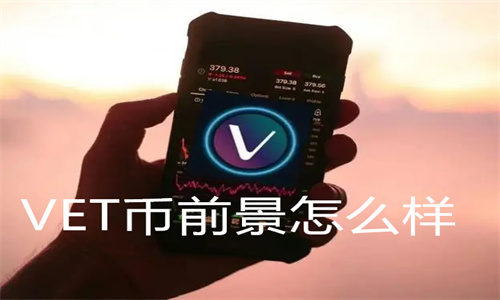 VET币创始人 VET币前景怎么样