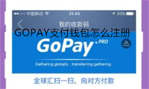 GOPAY支付钱包怎么注册 GOPAY支付钱包注册异常