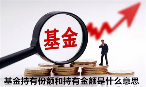 基金持有份额和持有金额是什么意思 两者有什么区别