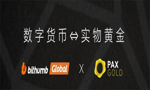 PAXG币为什么这么低  PAXG币可以挖吗