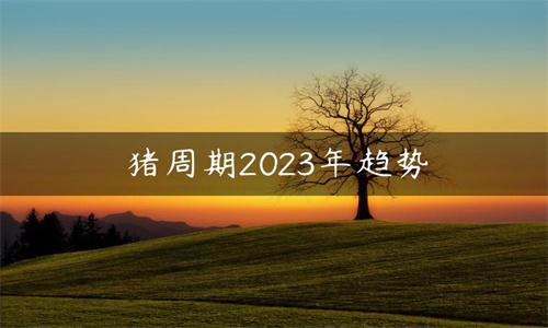 猪周期是什么意思 猪周期2023年趋势