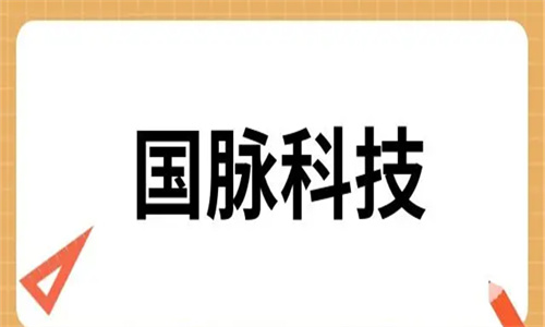 国脉科技2023年目标价 国脉科技是做什么的公司