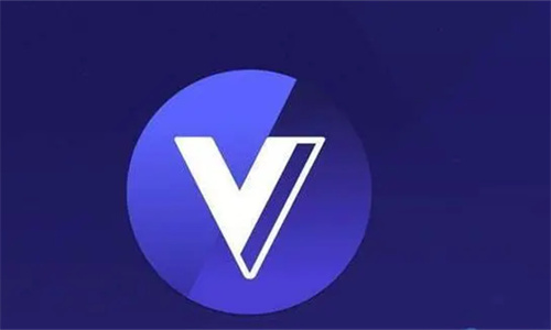 VGX币最高持仓 VGX币几个公司参与收购