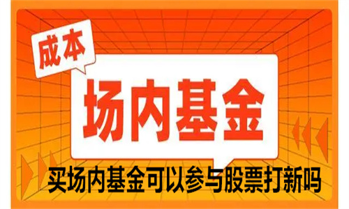 买场内基金可以参与股票打新吗 场内买基金可以定投吗