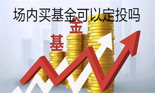 买场内基金可以参与股票打新吗 场内买基金可以定投吗