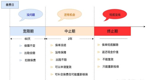 中止期和终止期是啥 要怎么买重疾险合适