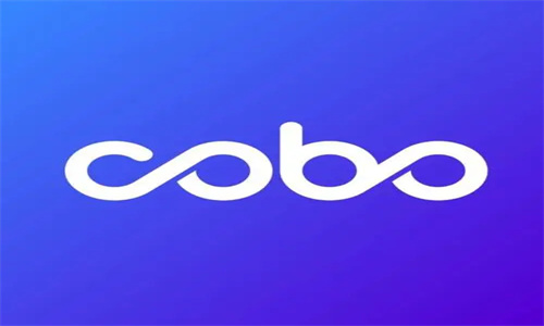 Cobo钱包怎么进不去了 Cobo钱包怎么把钱转到支付宝