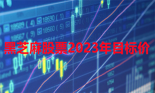 黑芝麻股票2023年目标价 黑芝麻股票会涨起来吗