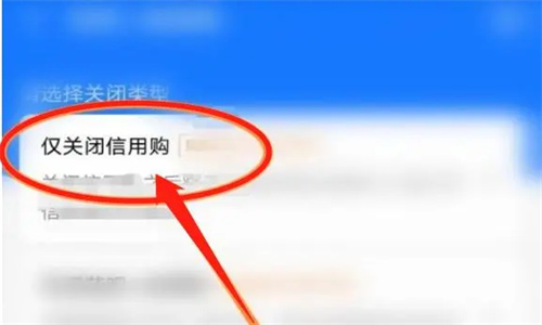 支付宝的信用购怎么关闭 支付宝的信用购在哪里还款