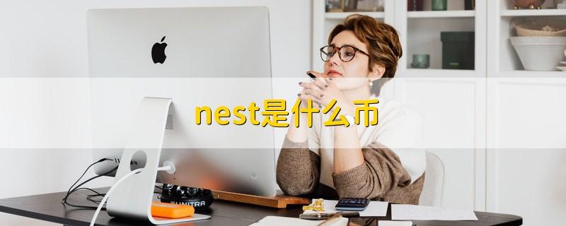 NEST币适合长期持有吗 NEST币未来会涨到多少