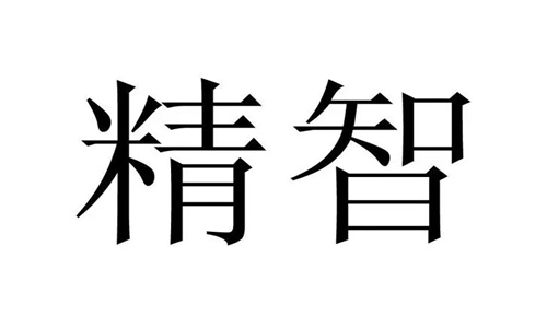 精智申购是做什么的 精智申购值得申购吗