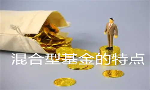 混合型基金的特点 混合型基金风险大吗