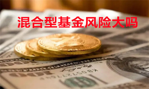 混合型基金的特点 混合型基金风险大吗