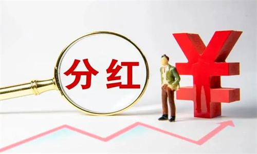 基金分红的意义在哪里 红利再投和现金分红哪个更好