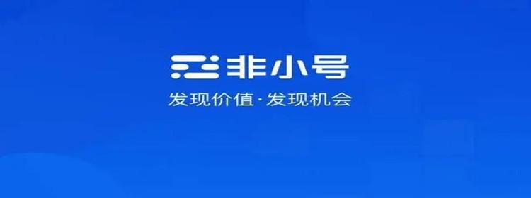 非小号提供哪些数据 如何使用非小号查询项目信息？