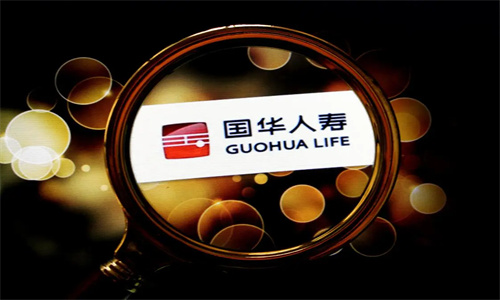 国华人寿终身寿险尊享版有风险嘛 国华人寿终身寿险尊享版可以退保吗