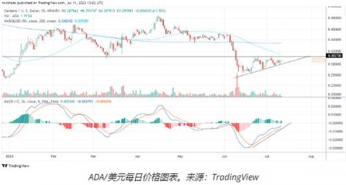 卡尔达诺网络活动和ADA分析