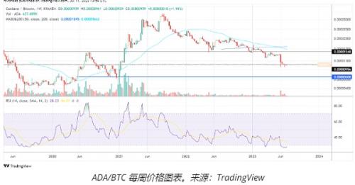 卡尔达诺网络活动和ADA分析