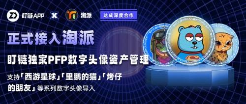 盯链联手淘派 支持PFP数字头像导入