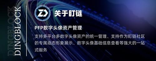 盯链联手淘派 支持PFP数字头像导入