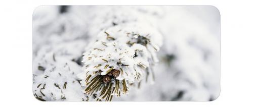 对散户而言加密世界真正的想象空间在哪里