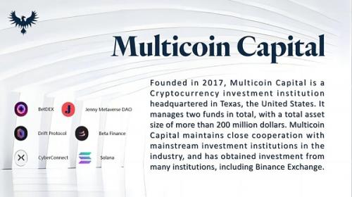 Multicoin Capital投资不死鸟, DeFi创新如何穿越熊市？