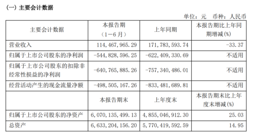 “芯片牛股”还在亏！裁员传闻被坐实 多家机构大举减持