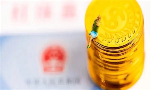 七险三金多了哪两险哪两金 七险三金什么时候开始的