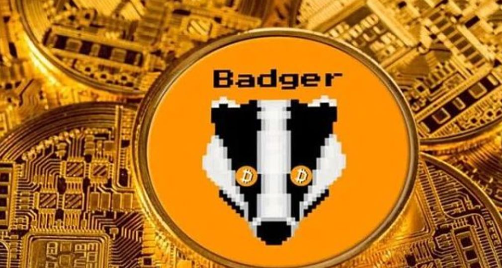 BADGER：未来加密市场的黑马？BADGER币前景大揭秘!