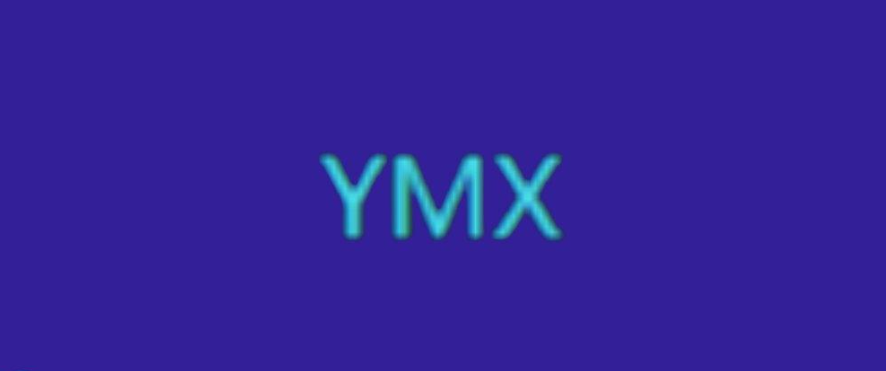 YMX是什么币种？YMX/亚马逊币全面介绍